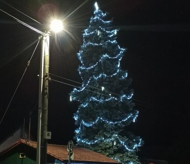 Rozsvícení vánočního stromu
