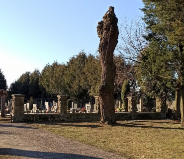 Úprava prostranství u hřbitova - březen 2022