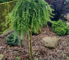 Údržbové práce v obci