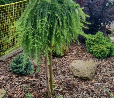 Údržbové práce v obci