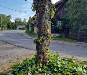 Údržbové práce v obci