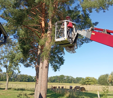 Oprava střechy špýcharu