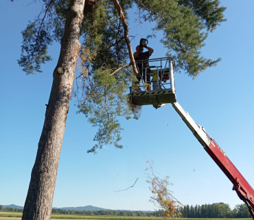 Oprava střechy špýcharu